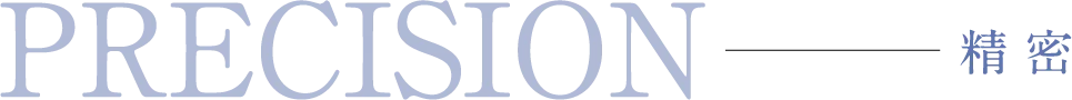PRECISION 精密